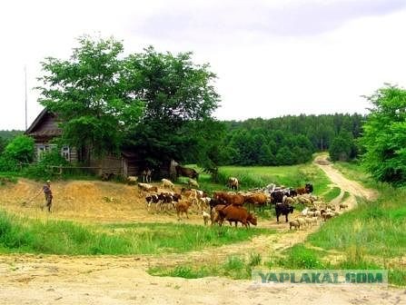 Деревенский я