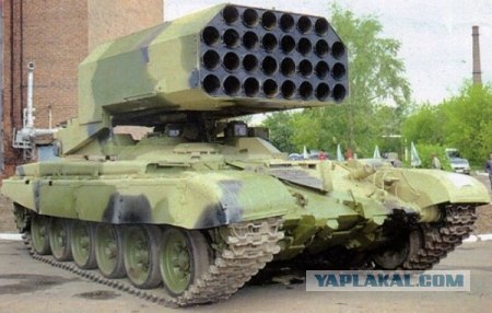 Шмели на солнцепеке