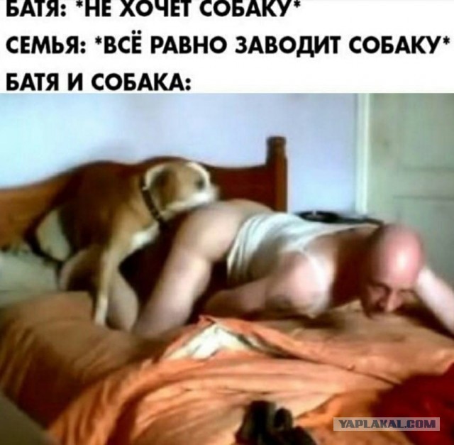 Начинается неделька...