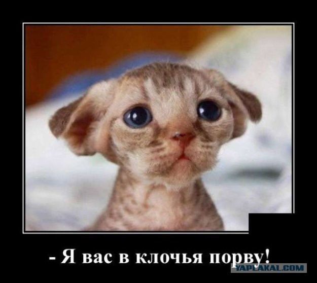 35 картинок разных 29.07.2021