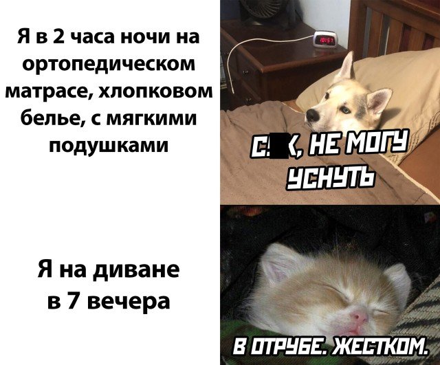 Картинки и мемы для настроения 03.08.2021