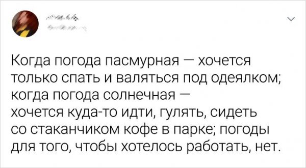 Картинки и мемы для настроения 05.08.2021