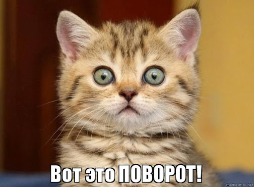 Мне кажется или он все понял?