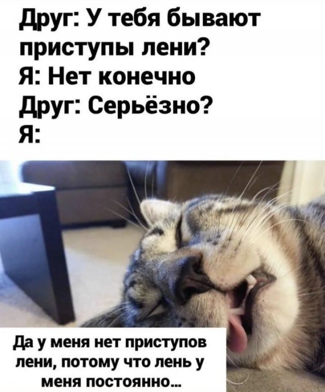 Чуток картинок 16.02.22