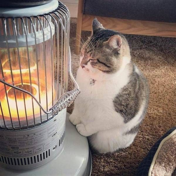 От судьбы не уйдёшь