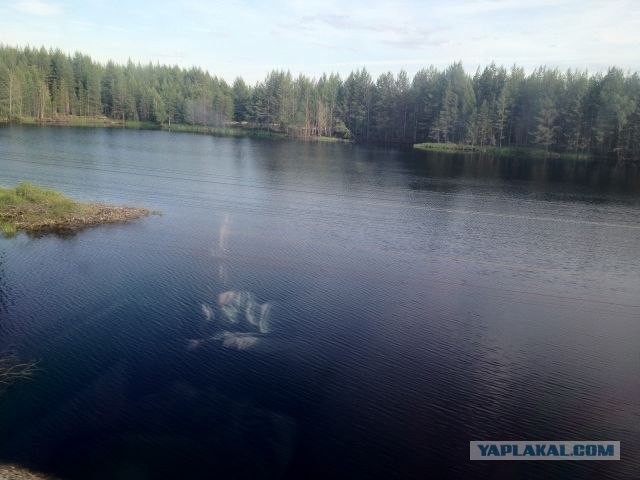 Москва-Воркута.Или туда и обратно.