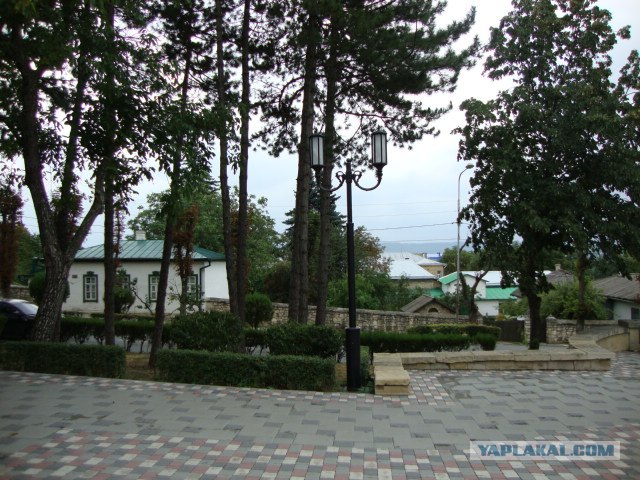 Кавказ-2012