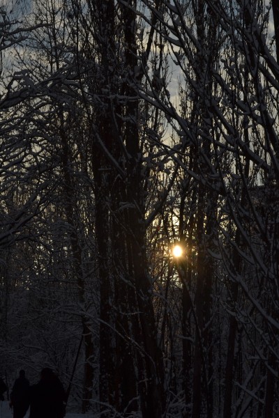 Чернобыль. Припять. Боль