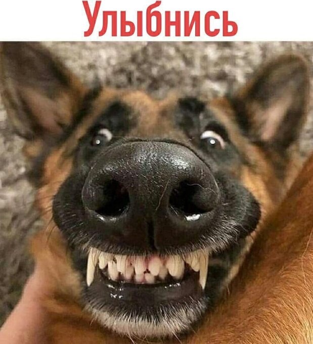 Прикольные и просто красивые картинки 10.01.2023