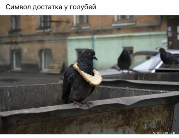 БесСистемная подборка 2