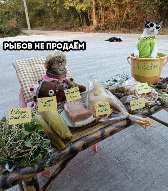 Немного картинок для настроения - 151