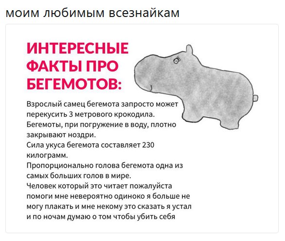 Ебобо и котики (баяны)