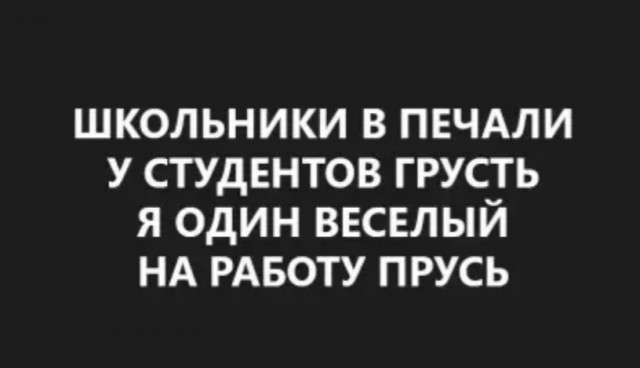 Почти 50 картинок