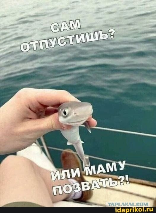 Как быть мужьям, чьи жены - "непьющие алкоголички"?⁠⁠