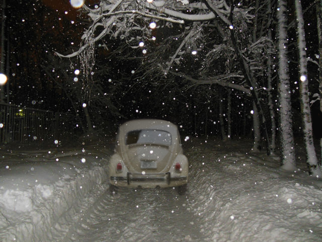 В снежном дворе