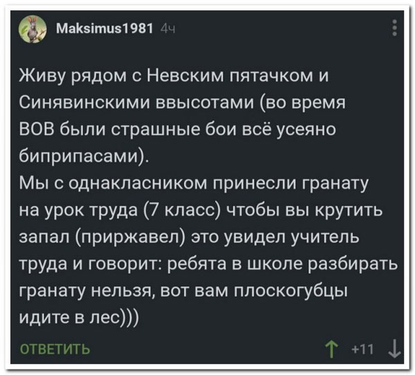 Забавные комментарии из социальных сетей 06.11.23