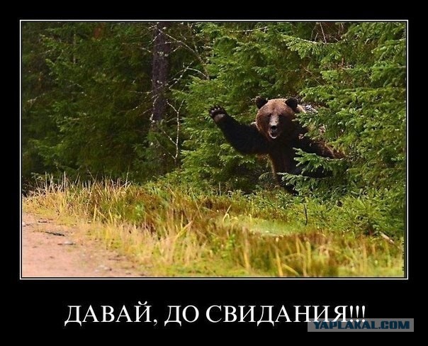 У японцев своя атмосфера