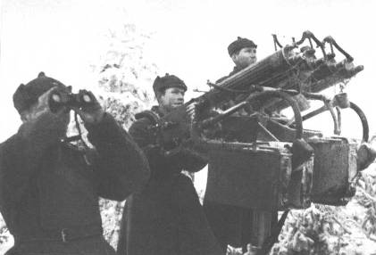 Прогулка со «свиньей»: история пулемета М60
