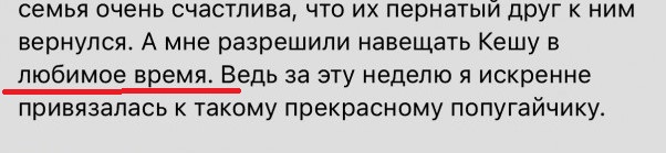 Вернули Кешу
