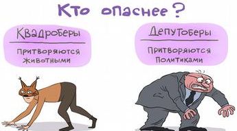 Депутаты готовят проект поправок в Административный кодекс. За выгул детей на четвереньках штраф составит от 1000 до 5000 рублей