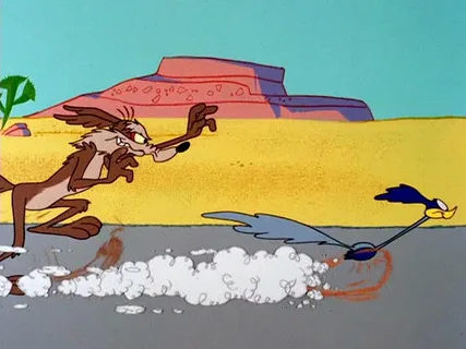 А вы как собак выгуливаете?