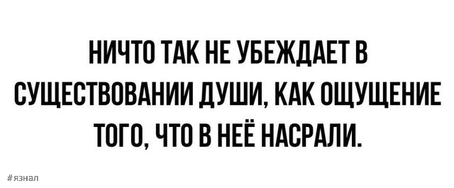 Так себе картинки 19.02.25