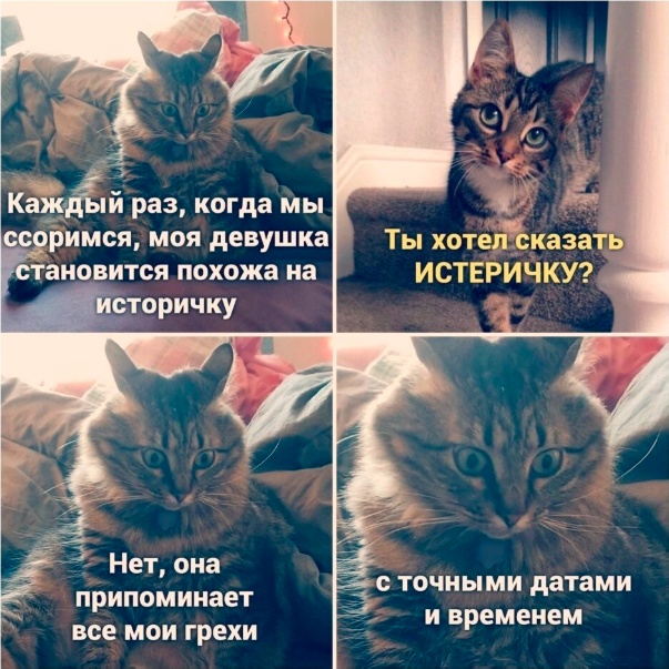 Так себе картинки 26.02.25