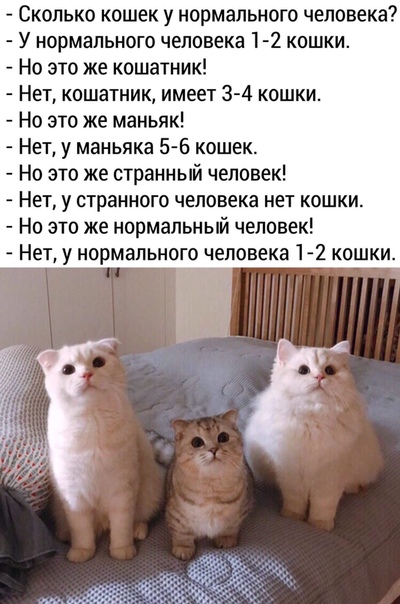 Перепись идеальных жен