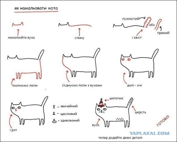 Как правильно рисовать кота