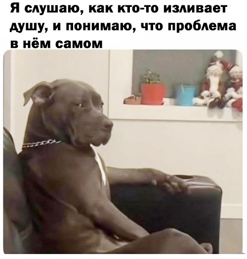 Веселые картинки в пятницу (26.09)