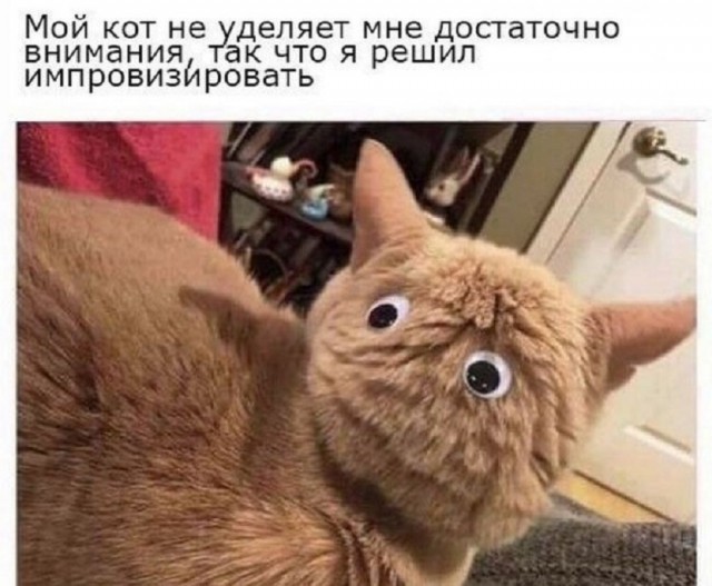Картинки для деградации 88 (разной степени свежести)