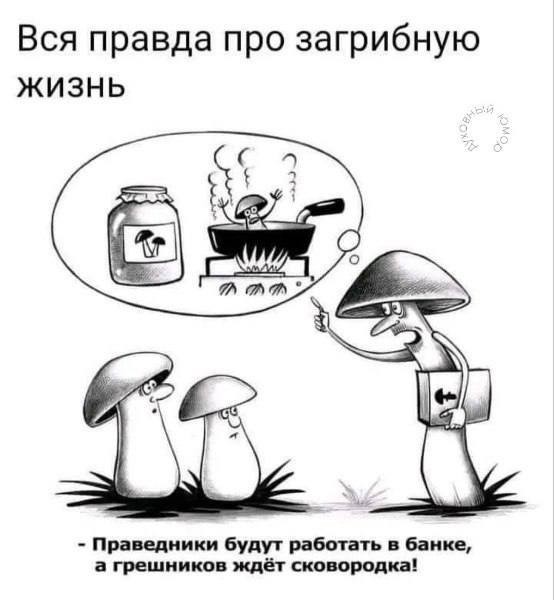 Слава Богу - я атеист 30..