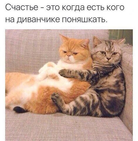 Воскресные картинки