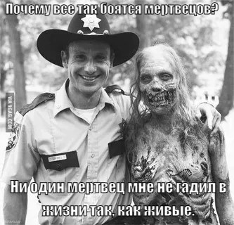 Картинки, веселые и глупые