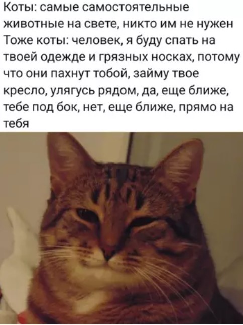 Картиночки, баянчики 15 марта