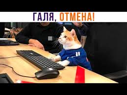 Мобильный интернет вернётся в крупные города в течение недели–двух, заявили в Госдуме