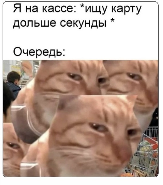 Среды картинки