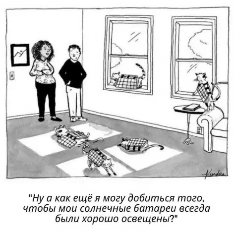 Котямбосы