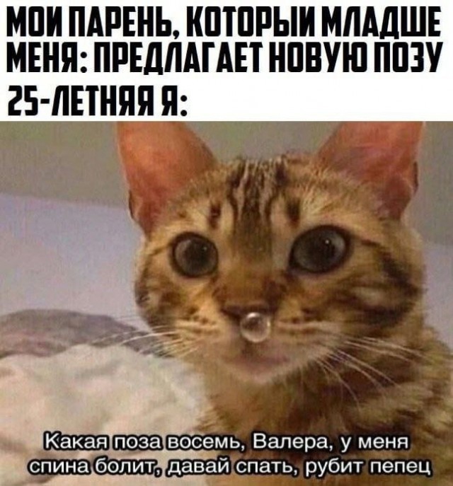 К котовторнику: подборка картинок-баянов с котиками и про котиков. Выпуск 35.