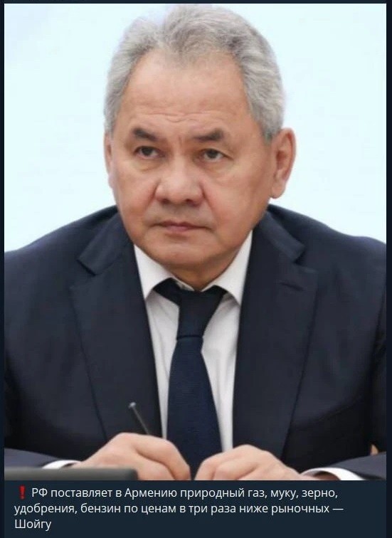Армения предприняла ряд недружественных шагов, заявил Шойгу