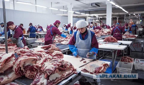 Студентка из Питера вернулась домой