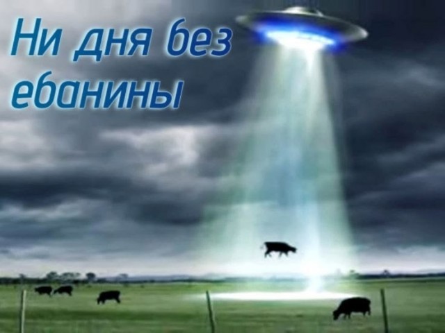Главное, что не промолчали...