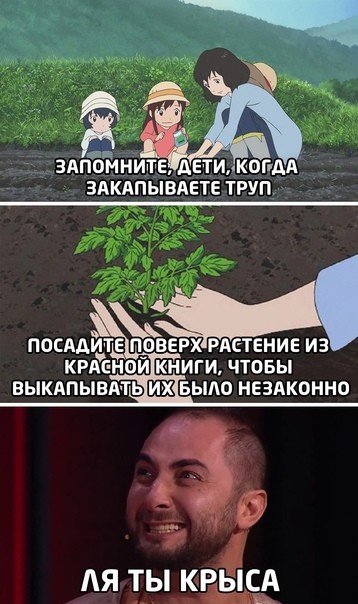 Картинки для деградации 257 (разной степени свежести)