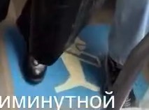 Девушка зашла с небольшой собачкой в автобус, идущий по маршруту М40