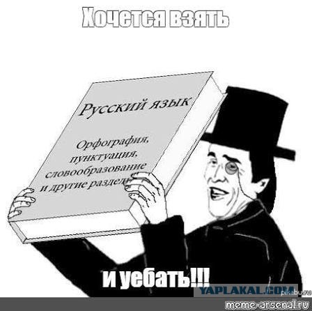Кошка чудом выжила после падения с 11-го этажа в Митине