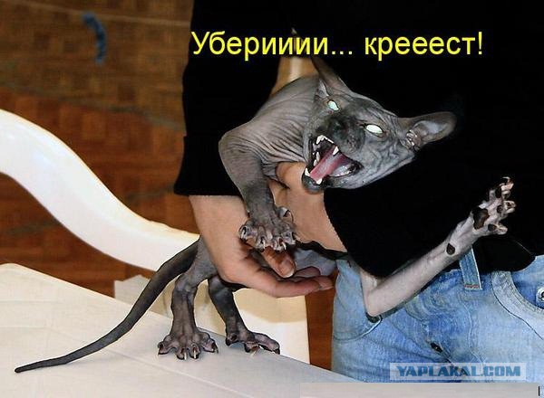 Всё, мне походу пистец!