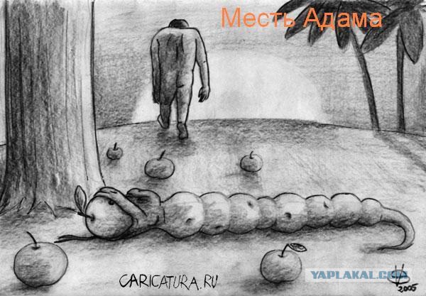 Веселые картинки