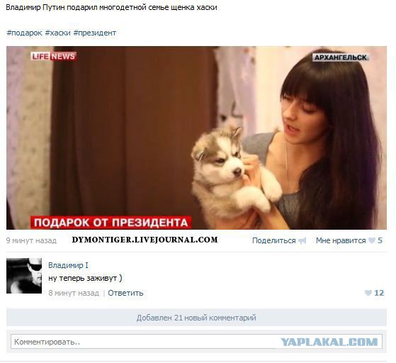 Смешные комментарии из социальных сетей