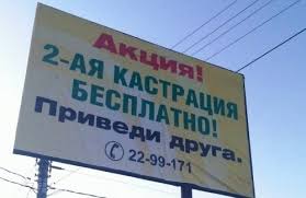 "Привез кота в ветклинику, долго мы его искали..."