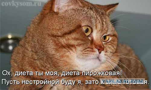 А вы говорите, девушки, худеть